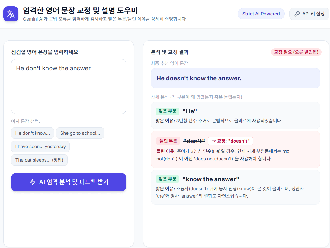 엄격한 영어 문장 교정 및 설명 도우미 - 1